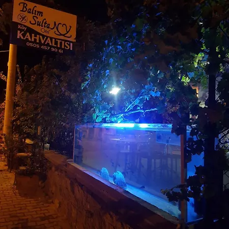 Balim Sultany