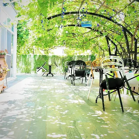 Balim Sultany Bed and breakfast